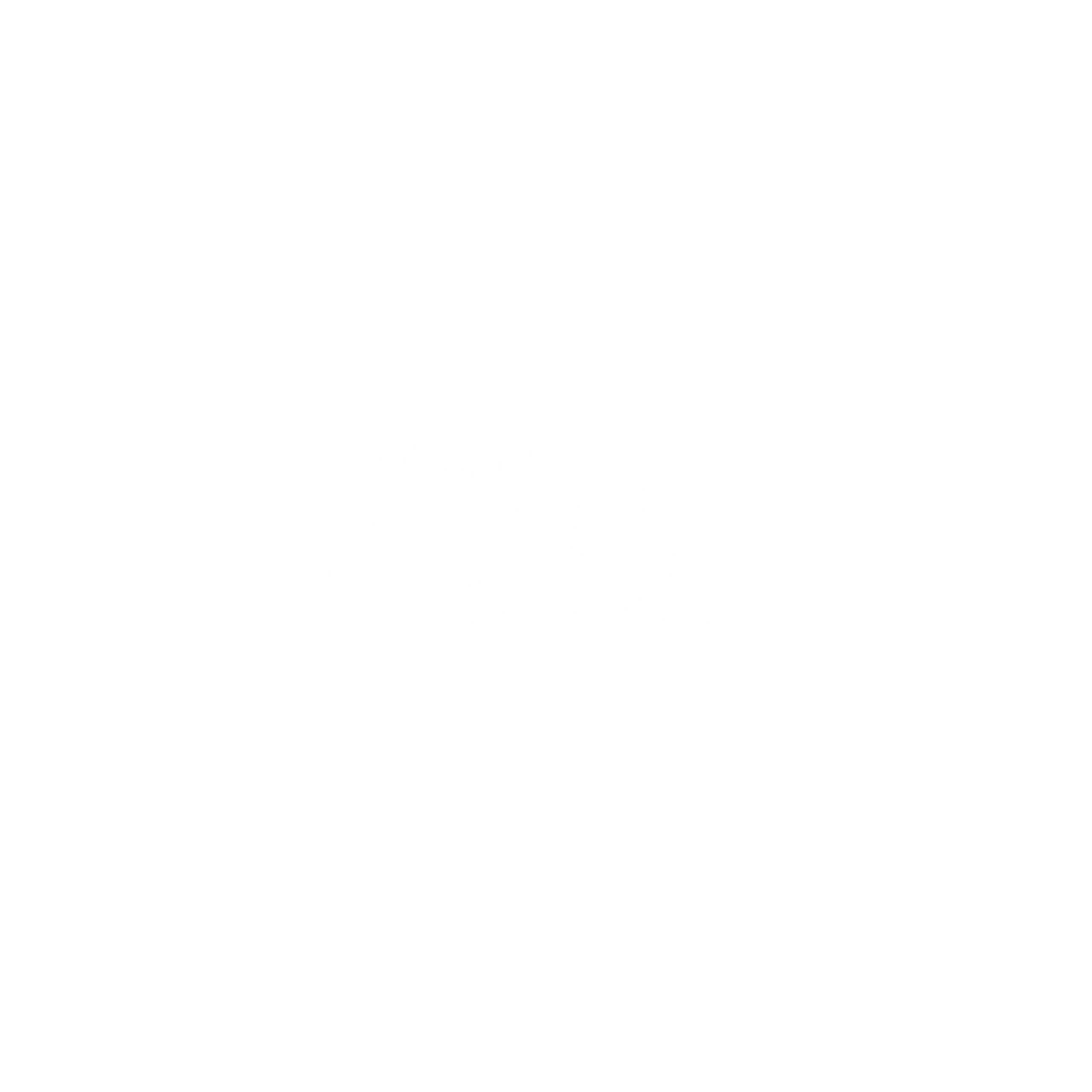 Whitty